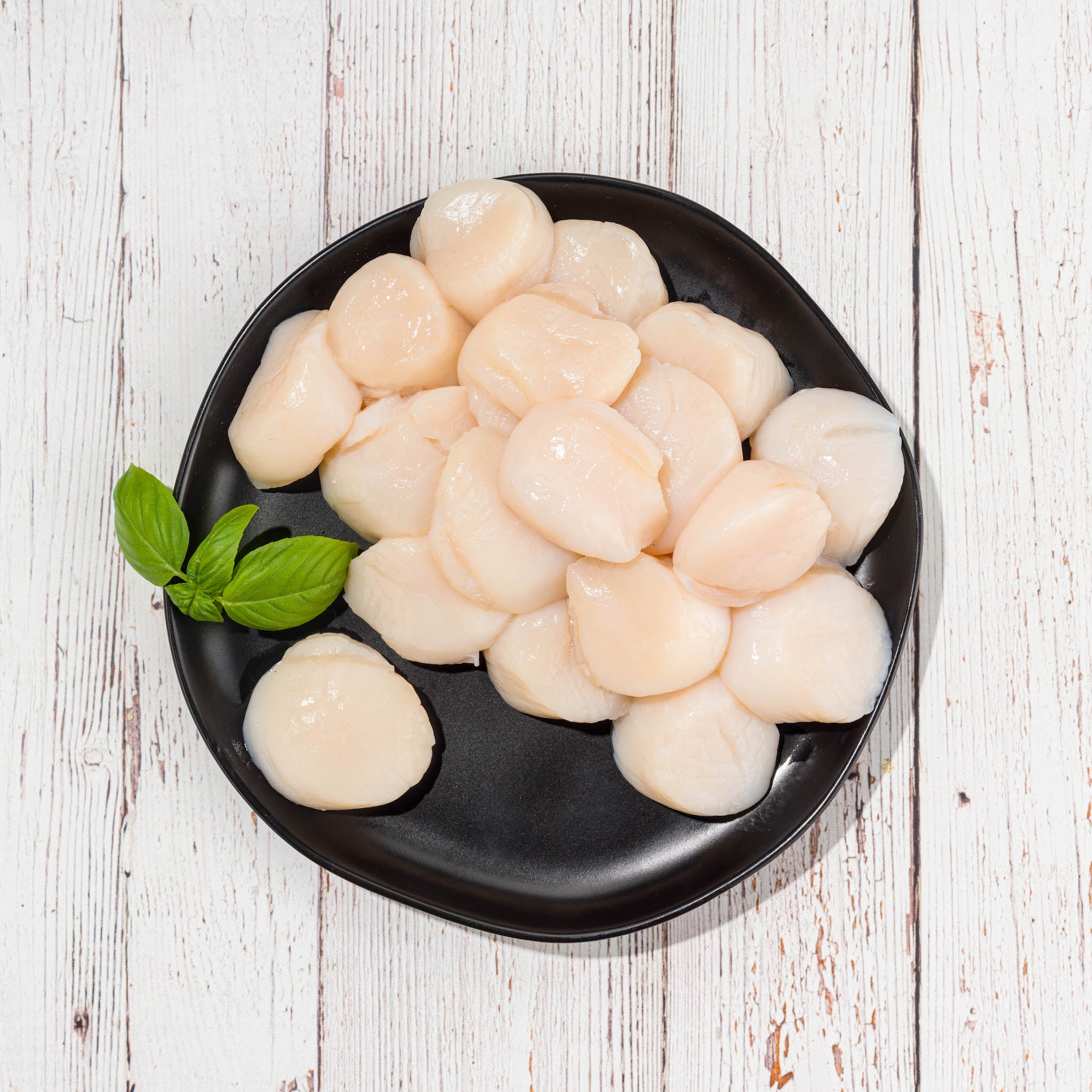 Frozen Sea Scallops, 1 lb Wild Caught